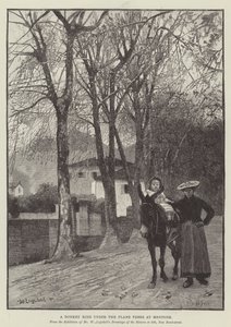 Balade à dos d